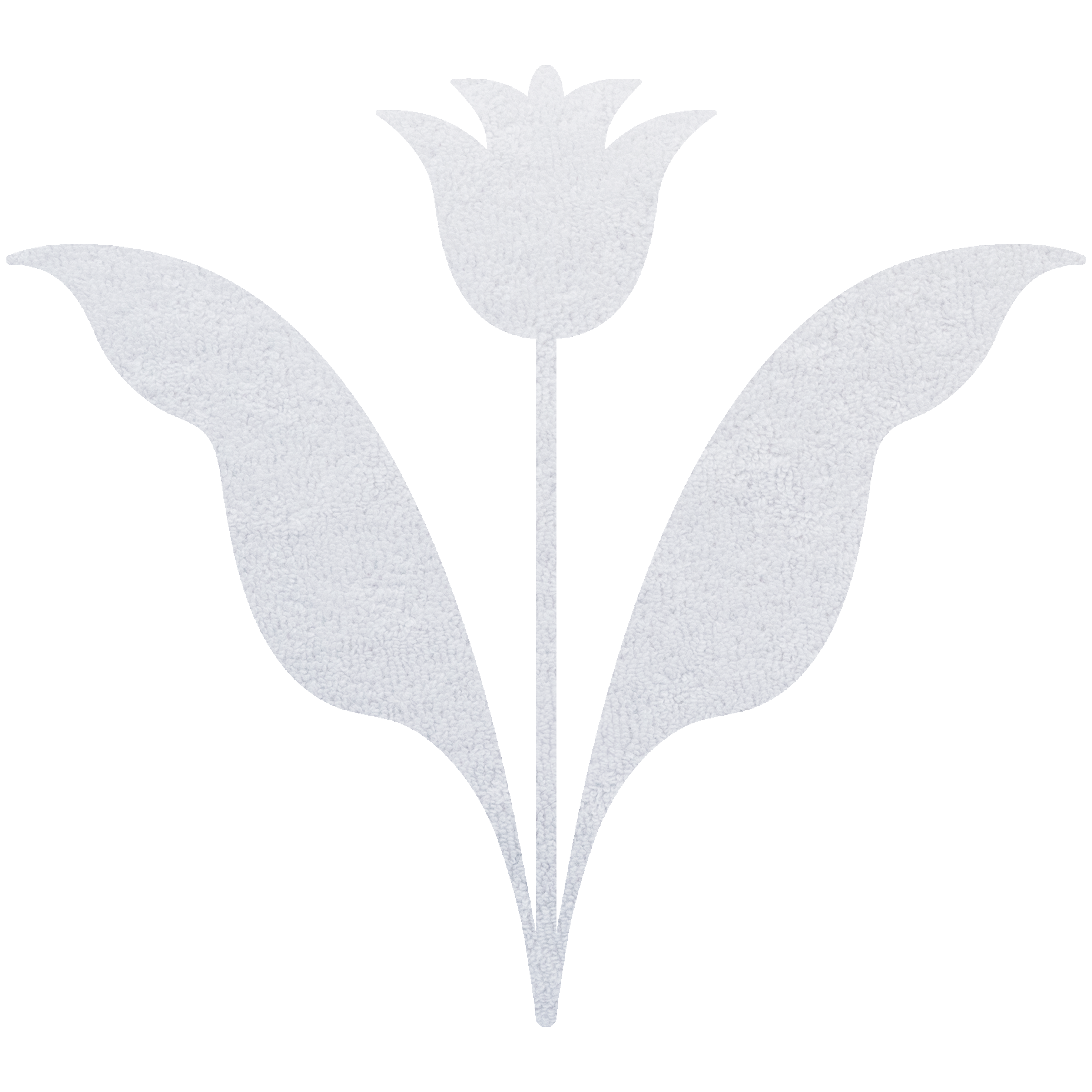 Snowdrop